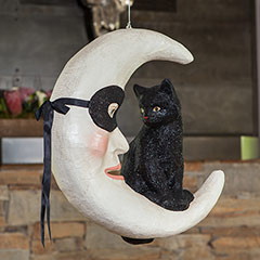 Chat Noir Hanging Moon Image 2