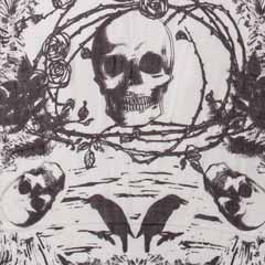 Raven Noir Scarf Image 2