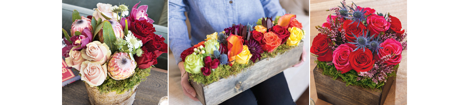 3 Things to Keep in Mind
When Choosing an Online Flower Delivery Service
3 Things to Keep in Mind
When Choosing an Online Flower Delivery Service
