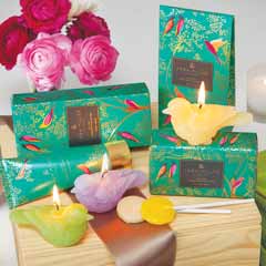 Teal Birds Spa Crate Image 1