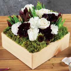 Jardin Blanc Image 1