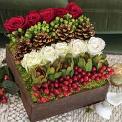 Merry Garden Image 1