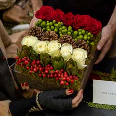 Merry Garden Image 2