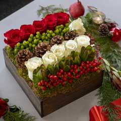 Merry Garden Image 3