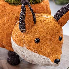 Fox Succulent Planter Image 2