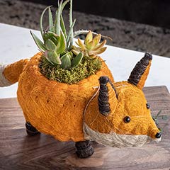 Fox Succulent Planter Image 4