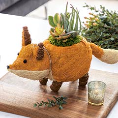Fox Succulent Planter Image 1