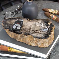 Petrified Wood Catch-all Image 2