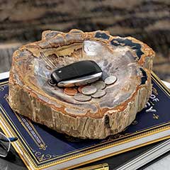 Petrified Wood Catch-all Image 1