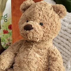 Loving Bear & Storybook Image 2