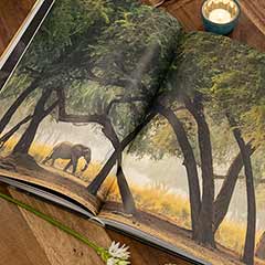 Mother Earth Book Image 3