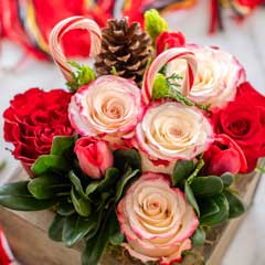 Candy Cane Fleur Image 2