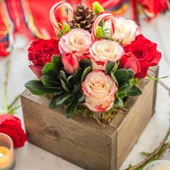 Candy Cane Fleur Image 3