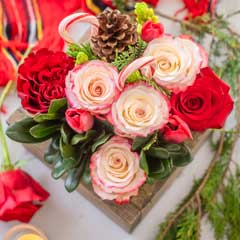 Candy Cane Fleur Image 4