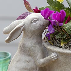Blooming Bunny Planter Image 3