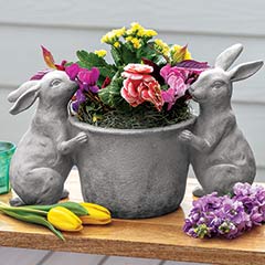 Blooming Bunny Planter Image 1