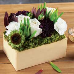 Jardin Blanc Image 2