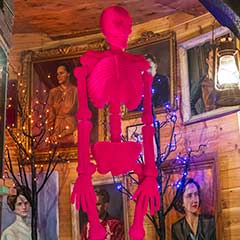 Haute Pink Skeleton Image 2