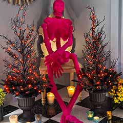 Haute Pink Skeleton Image 3