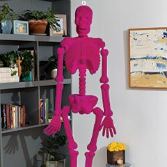 Haute Pink Skeleton Image 1