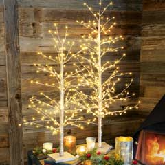 Golden Lit Trees Image 3