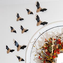 Charming Bat Colony Image 3