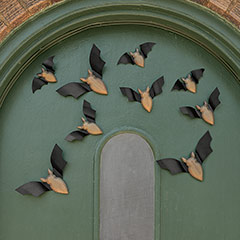 Charming Bat Colony Image 1