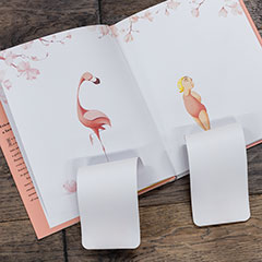 Pinky Flamingo & Storybook Image 4