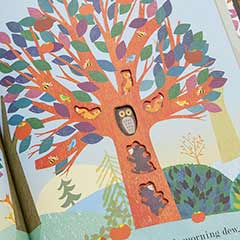 Little Hoot Owl & Storybook Image 5