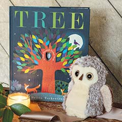 Little Hoot Owl & Storybook Image 1