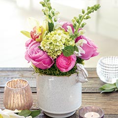 Climbing Bunny Potager Image 1