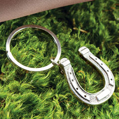 Lucky Horseshoe Key Ring Image 1