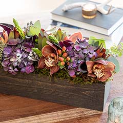 Isabella Fiore Image 2