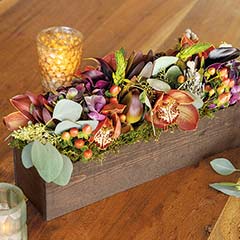 Isabella Fiore Image 1