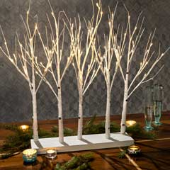 Snowdrift Lit Trees Image 2