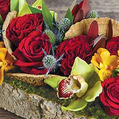 Sierra Birch Trough Image 2