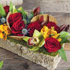 Sierra Birch Trough Image 1